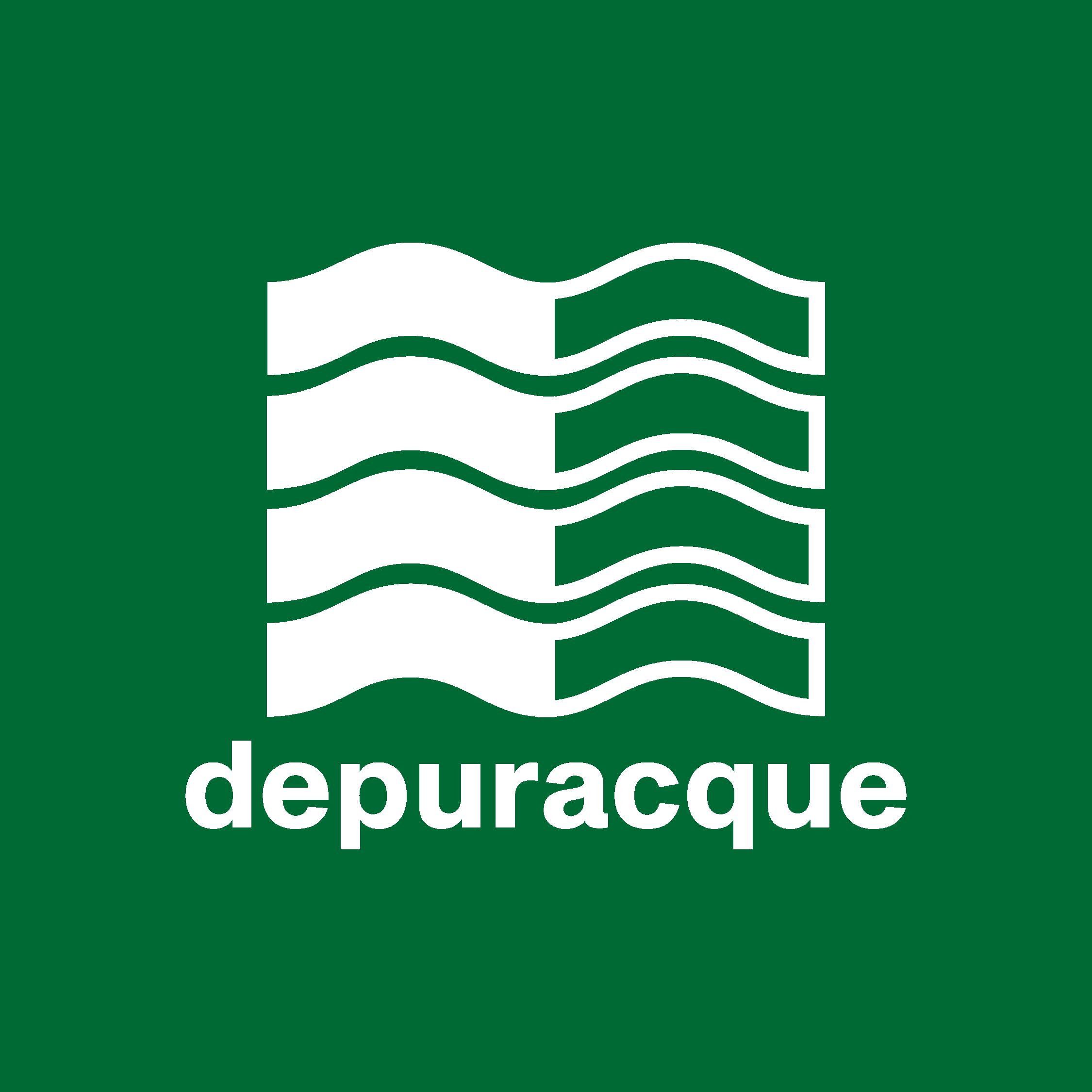 Depuracque: Brand identity e sito web | WebMaegisto